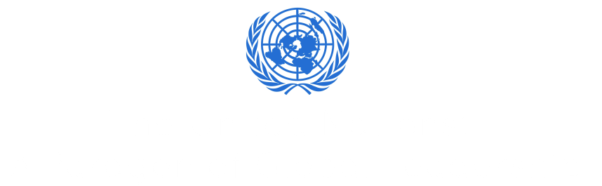 Kees Boterbloem - The United Nations: A Paragon of Global Leadership